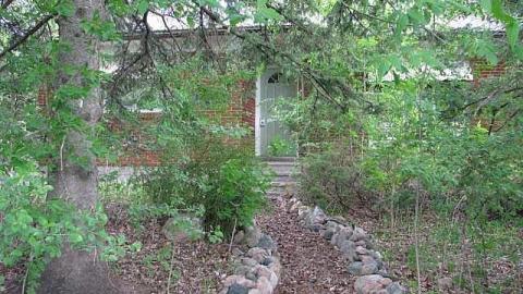 Photo from In the Trees