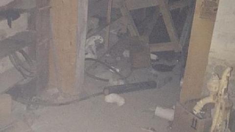 Beaver Valley Trip #1 - Beaver-Valley2.jpeg