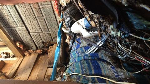 Visit #2 2016 - smimage.jpeg