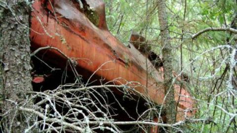 4X4-ing in Tophet - Tophet-(ghost-town)14.jpg