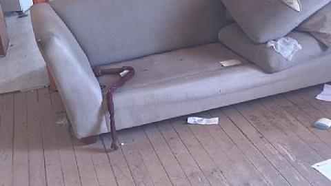 Awesome Stuff - Banished-Family-House5.jpeg