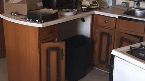 Awesome Stuff - Banished-Family-House7.jpeg