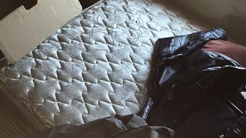 Awesome Stuff - Banished-Family-House18.jpeg