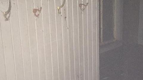 Daytime Trip - Non-Chalaunt54.jpeg