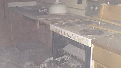 Daytime Trip - Non-Chalaunt55.jpeg