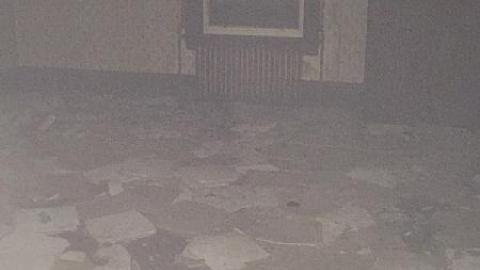 Daytime Trip - Non-Chalaunt56.jpeg