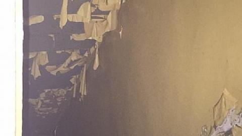 Daytime Trip - Non-Chalaunt57.jpeg