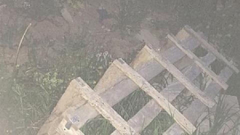 Daytime Trip - Non-Chalaunt58.jpeg