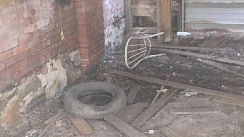 Daytime Trip - Non-Chalaunt59.jpeg