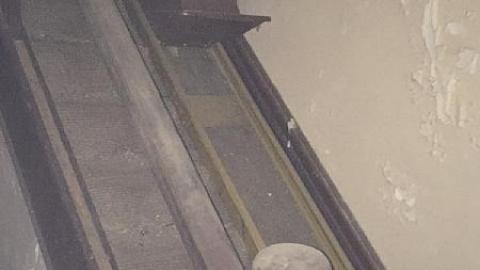 Daytime Trip - Non-Chalaunt61.jpeg