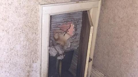 Daytime Trip - Non-Chalaunt62.jpeg