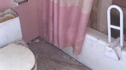 Daytime Trip - Non-Chalaunt63.jpeg