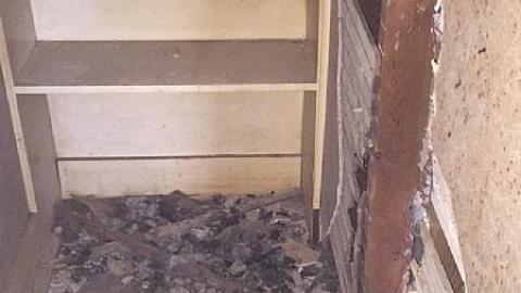 Daytime Trip - Non-Chalaunt65.jpeg