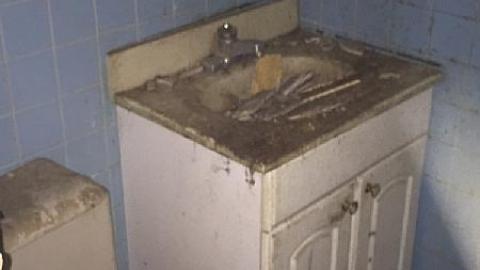 Daytime Trip - Non-Chalaunt72.jpeg