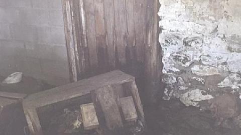 Daytime Trip - Non-Chalaunt66.jpeg