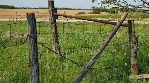 Photo from His Struggles Are Ended