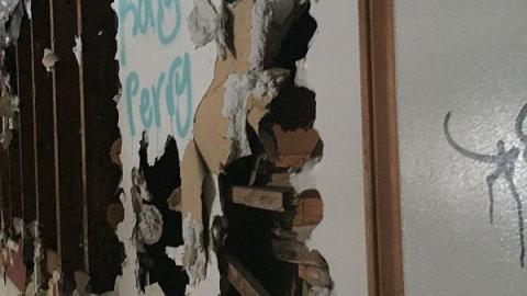 Maze 2016 - knimage.jpeg