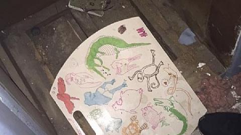 Maze 2016 - nzimage.jpeg