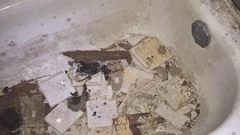 Maze 2016 - tjimage.jpeg