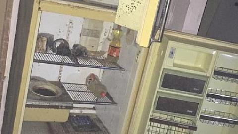 Maze 2016 - qrimage.jpeg