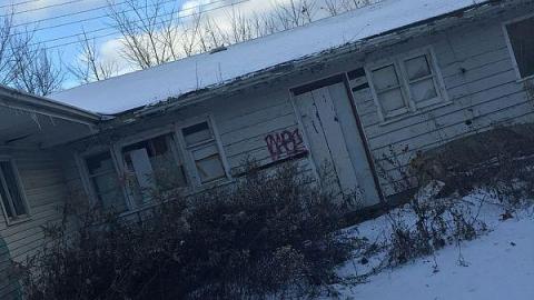 Maze 2016 - oeimage.jpeg