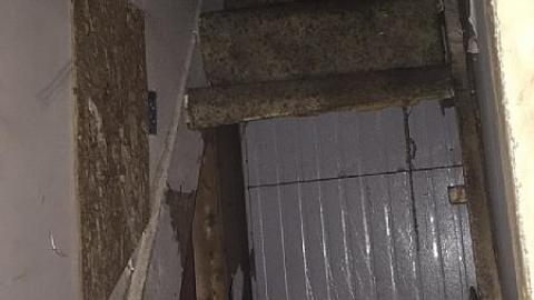 Winter Trip - vmimage.jpeg