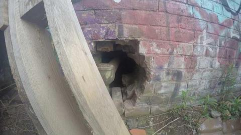 Linseed - Linseed-Factory423.jpg