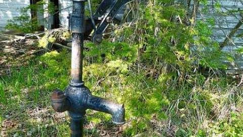 Inside from Outside - P1060408.jpg