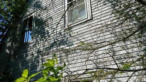 Inside from Outside - P1060428.jpg