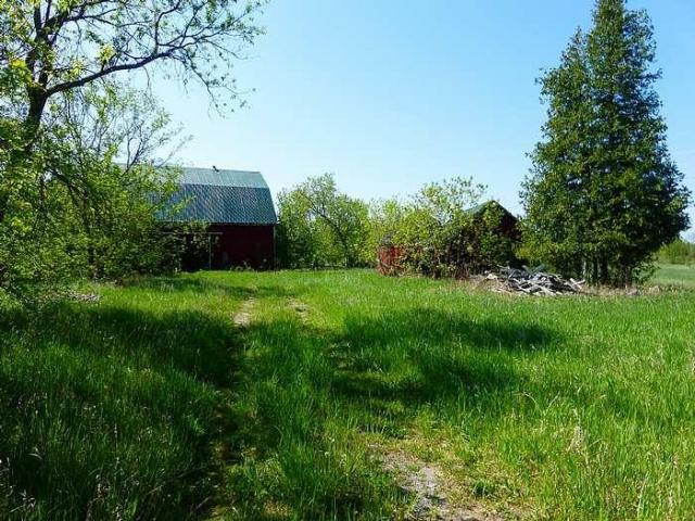 Internal Struggle photo 2