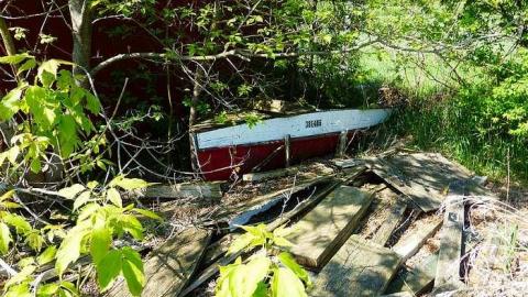 Inside from Outside - P1060430.jpg