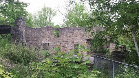 Darnley Mill - May 2016 - Darnley-Mill-Crooks-Hollow201.jpg