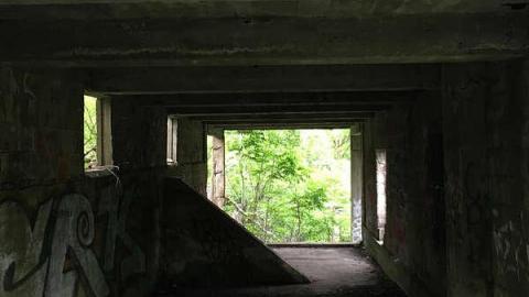 Darnley Mill - May 2016 - Darnley-Mill-Crooks-Hollow2.jpg