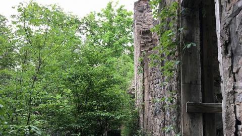 Darnley Mill - May 2016 - Darnley-Mill-Crooks-Hollow3.jpg