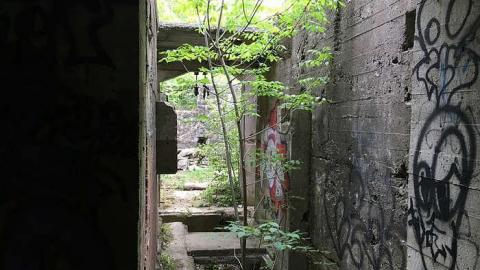 Darnley Mill - May 2016 - Darnley-Mill-Crooks-Hollow209.jpg