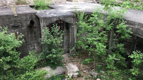 Darnley Mill - May 2016 - Darnley-Mill-Crooks-Hollow211.jpg