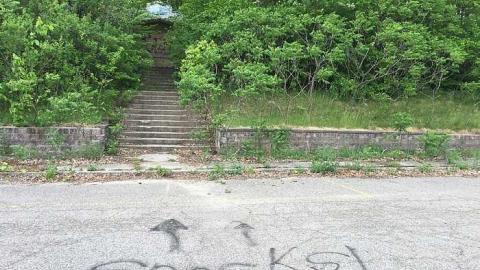 Edgar  May 2016  - CFB-Edgar1.jpg