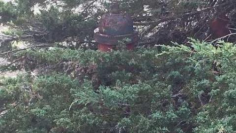 Edgar  May 2016  - CFB-Edgar4.jpg