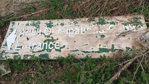 Edgar  May 2016  - CFB-Edgar324.jpg