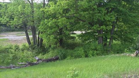 Edgar  May 2016  - CFB-Edgar325.jpg