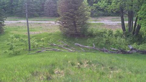 Edgar  May 2016  - CFB-Edgar6.jpg