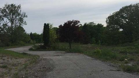 Edgar  May 2016  - CFB-Edgar326.jpg