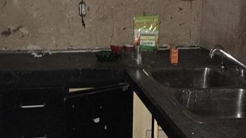 May 2016 - Forgot-Your-Teeth12.jpeg