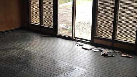 May 2016 - Forgot-Your-Teeth4.jpeg