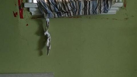 May 2016 - Forgot-Your-Teeth6.jpeg