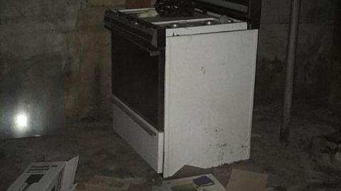 May 2016 - Forgot-Your-Teeth17.jpeg