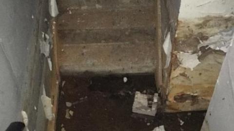 May 2016 - Forgot-Your-Teeth8.jpeg