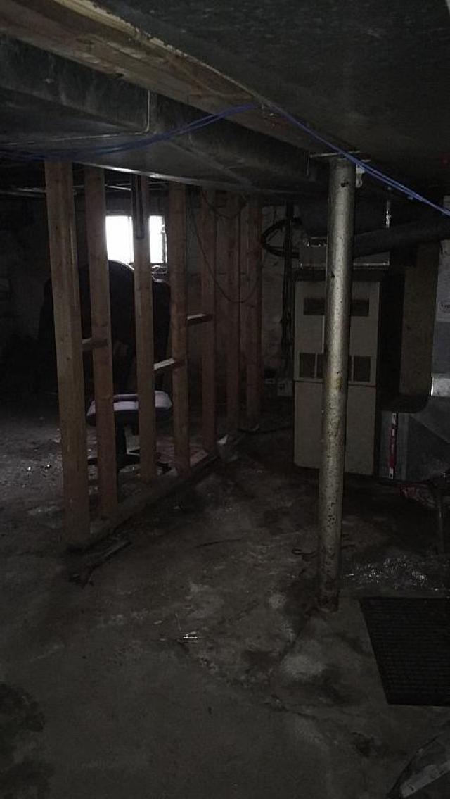 Forgot Your Teeth photo 4