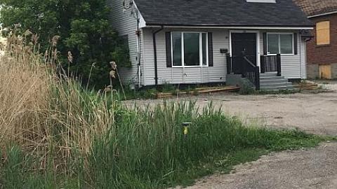 May 2016 - Forgot-Your-Teeth20.jpeg