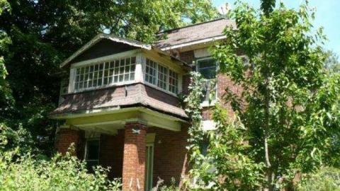 Mt.Wolfe - Mt-Wolfe-Farm43.jpg